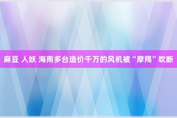 麻豆 人妖 海南多台造价千万的风机被“摩羯”吹断