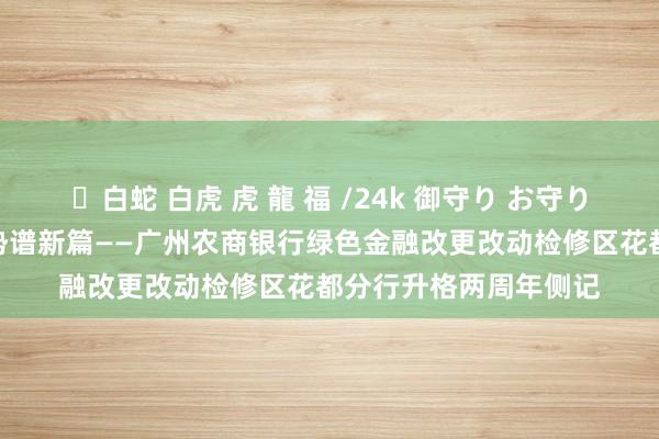 ✨白蛇 白虎 虎 龍 福 /24k 御守り お守り 新居“碳”新路，乘势谱新篇——广州农商银行绿色金融改更改动检修区花都分行升格两周年侧记