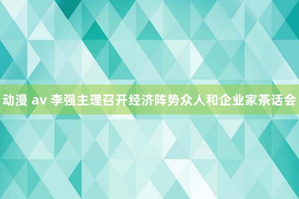 动漫 av 李强主理召开经济阵势众人和企业家茶话会