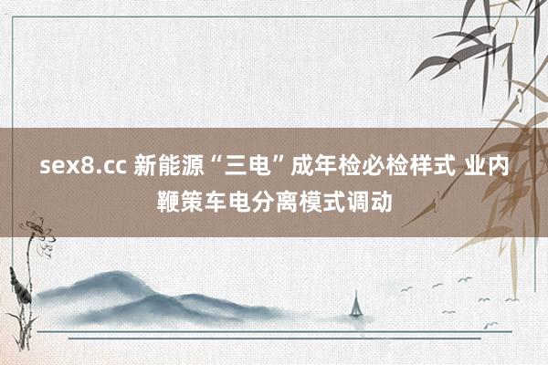 sex8.cc 新能源“三电”成年检必检样式 业内鞭策车电分离模式调动
