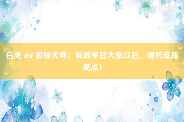 白虎 av 狡猾天尊：阛阓单日大涨以后，堤防反压高点！