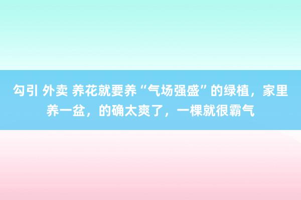 勾引 外卖 养花就要养“气场强盛”的绿植，家里养一盆，的确太爽了，一棵就很霸气