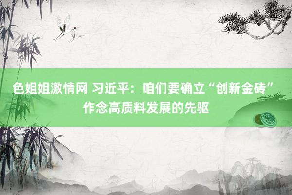 色姐姐激情网 习近平：咱们要确立“创新金砖” 作念高质料发展的先驱