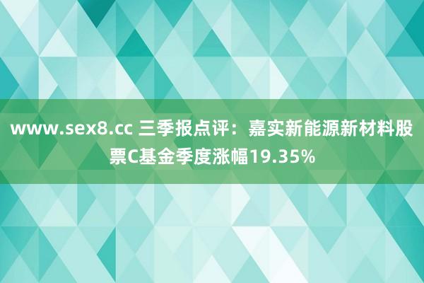 www.sex8.cc 三季报点评：嘉实新能源新材料股票C基金季度涨幅19.35%