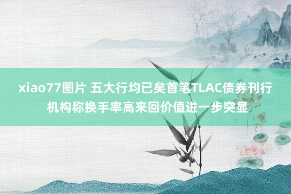 xiao77图片 五大行均已矣首笔TLAC债券刊行 机构称换手率高来回价值进一步突显