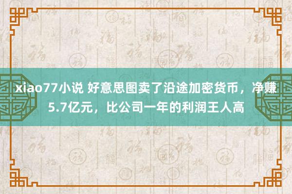 xiao77小说 好意思图卖了沿途加密货币，净赚5.7亿元，比公司一年的利润王人高