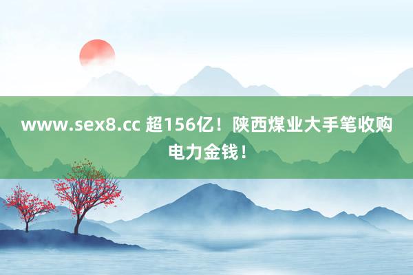 www.sex8.cc 超156亿！陕西煤业大手笔收购电力金钱！