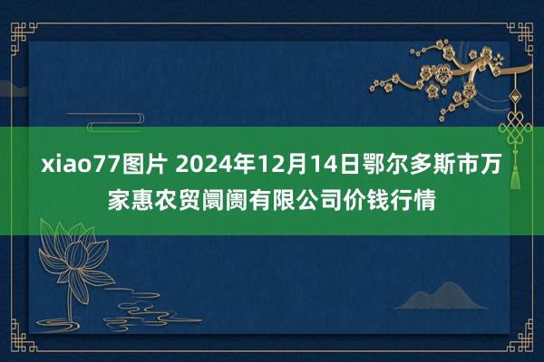 xiao77图片 2024年12月14日鄂尔多斯市万家惠农贸阛阓有限公司价钱行情
