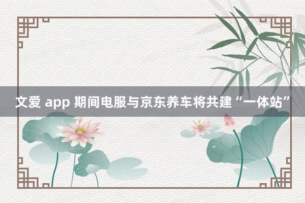 文爱 app 期间电服与京东养车将共建“一体站”