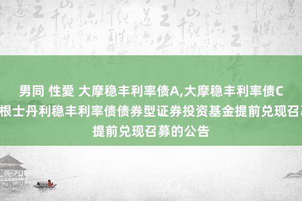 男同 性愛 大摩稳丰利率债A,大摩稳丰利率债C: 对于摩根士丹利稳丰利率债债券型证券投资基金提前兑现召募的公告