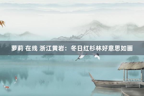 萝莉 在线 浙江黄岩：冬日红杉林好意思如画