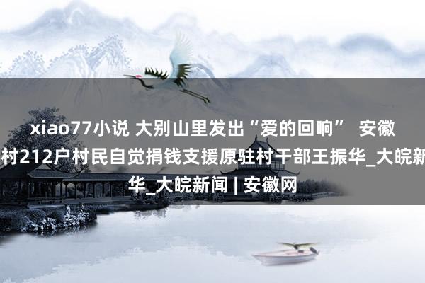 xiao77小说 大别山里发出“爱的回响”  安徽岳西县毛畈村212户村民自觉捐钱支援原驻村干部王振华_大皖新闻 | 安徽网