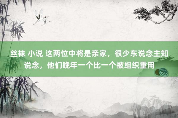 丝袜 小说 这两位中将是亲家，很少东说念主知说念，他们晚年一个比一个被组织重用