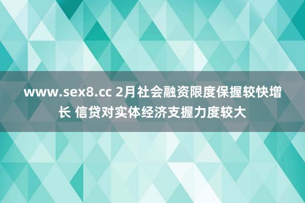 www.sex8.cc 2月社会融资限度保握较快增长 信贷对实体经济支握力度较大