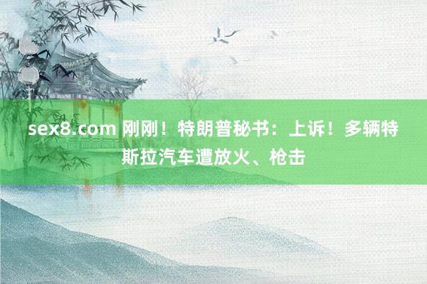 sex8.com 刚刚！特朗普秘书：上诉！多辆特斯拉汽车遭放火、枪击