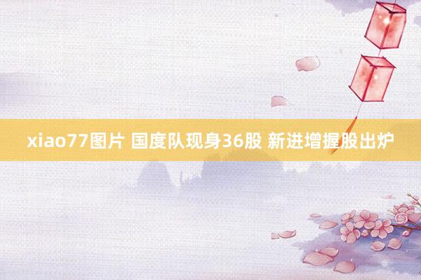 xiao77图片 国度队现身36股 新进增握股出炉
