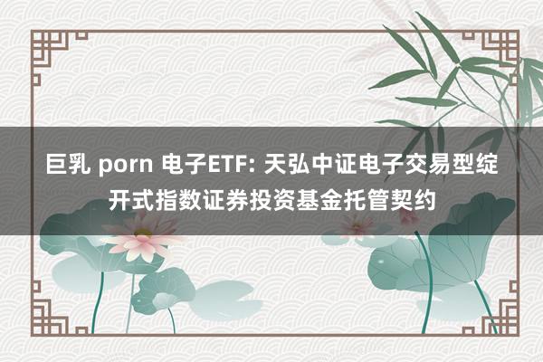 巨乳 porn 电子ETF: 天弘中证电子交易型绽开式指数证券投资基金托管契约