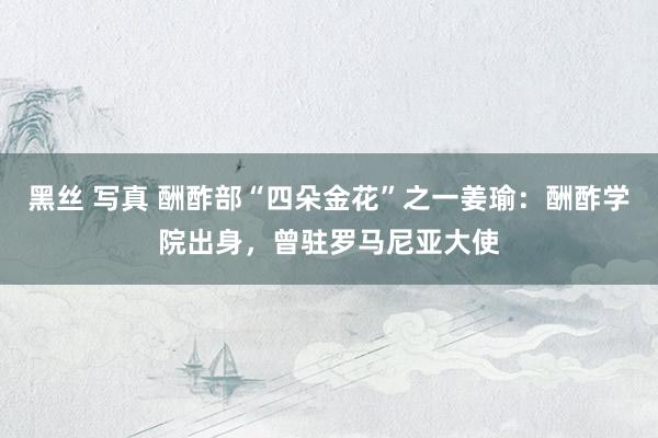 黑丝 写真 酬酢部“四朵金花”之一姜瑜：酬酢学院出身，曾驻罗马尼亚大使
