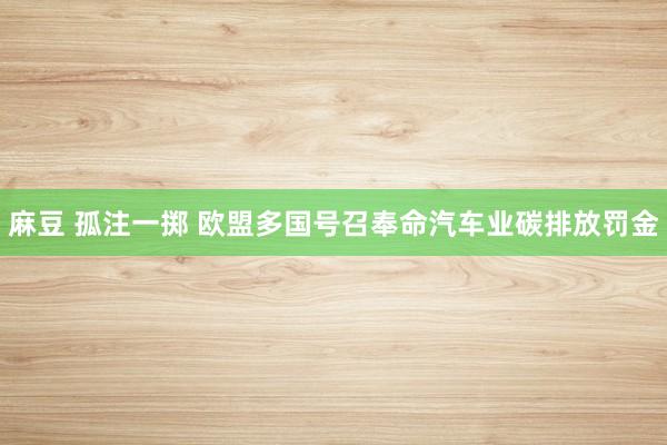 麻豆 孤注一掷 欧盟多国号召奉命汽车业碳排放罚金