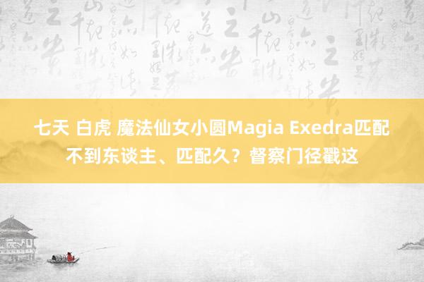 七天 白虎 魔法仙女小圆Magia Exedra匹配不到东谈主、匹配久？督察门径戳这