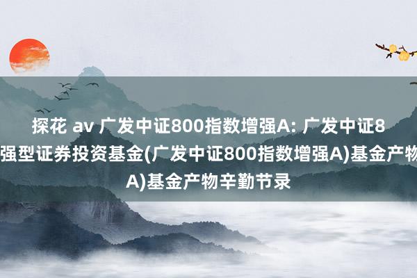 探花 av 广发中证800指数增强A: 广发中证800指数增强型证券投资基金(广发中证800指数增强A)基金产物辛勤节录