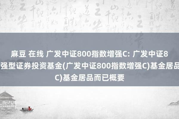 麻豆 在线 广发中证800指数增强C: 广发中证800指数增强型证券投资基金(广发中证800指数增强C)基金居品而已概要