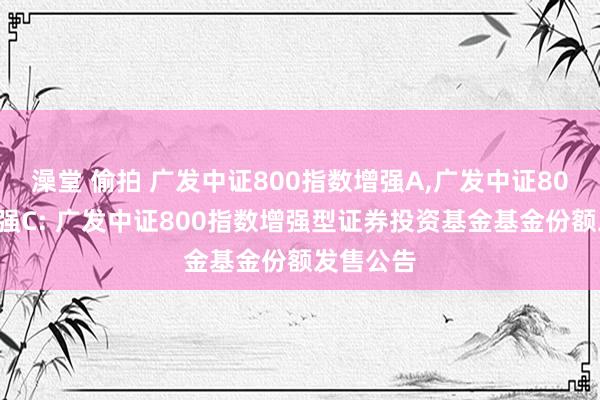 澡堂 偷拍 广发中证800指数增强A,广发中证800指数增强C: 广发中证800指数增强型证券投资基金基金份额发售公告