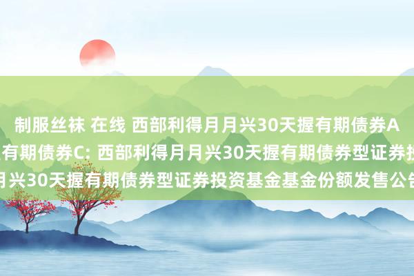 制服丝袜 在线 西部利得月月兴30天握有期债券A,西部利得月月兴30天握有期债券C: 西部利得月月兴30天握有期债券型证券投资基金基金份额发售公告