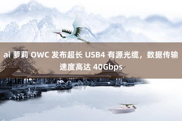 ai 萝莉 OWC 发布超长 USB4 有源光缆，数据传输速度高达 40Gbps