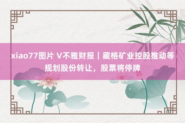 xiao77图片 V不雅财报｜藏格矿业控股推动等规划股份转让，股票将停牌