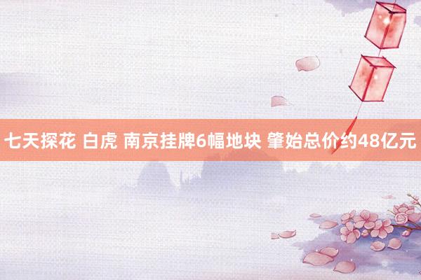 七天探花 白虎 南京挂牌6幅地块 肇始总价约48亿元