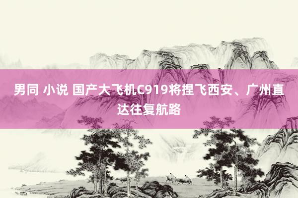 男同 小说 国产大飞机C919将捏飞西安、广州直达往复航路