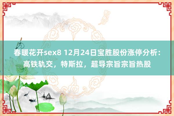 春暖花开sex8 12月24日宝胜股份涨停分析：高铁轨交，特斯拉，超导宗旨宗旨热股