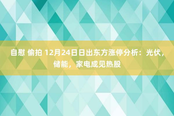 自慰 偷拍 12月24日日出东方涨停分析：光伏，储能，家电成见热股