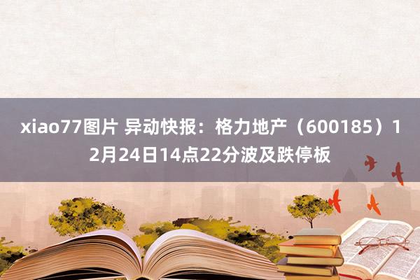 xiao77图片 异动快报：格力地产（600185）12月24日14点22分波及跌停板