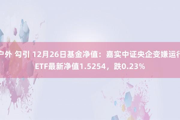 户外 勾引 12月26日基金净值：嘉实中证央企变嫌运行ETF最新净值1.5254，跌0.23%