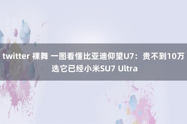 twitter 裸舞 一图看懂比亚迪仰望U7：贵不到10万 选它已经小米SU7 Ultra