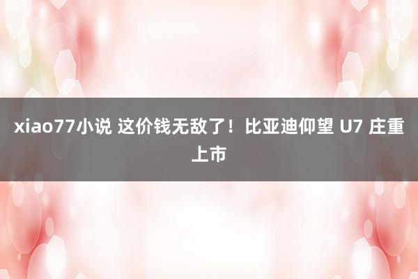 xiao77小说 这价钱无敌了！比亚迪仰望 U7 庄重上市