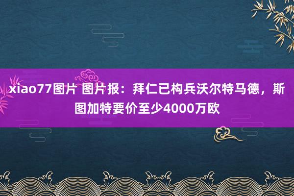 xiao77图片 图片报：拜仁已构兵沃尔特马德，斯图加特要价至少4000万欧