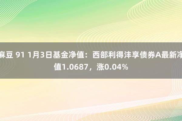 麻豆 91 1月3日基金净值：西部利得沣享债券A最新净值1.0687，涨0.04%