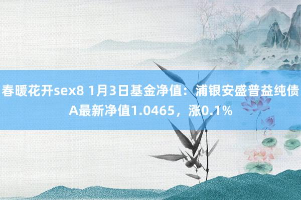 春暖花开sex8 1月3日基金净值：浦银安盛普益纯债A最新净值1.0465，涨0.1%
