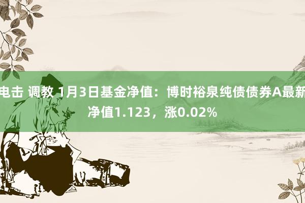 电击 调教 1月3日基金净值：博时裕泉纯债债券A最新净值1.123，涨0.02%