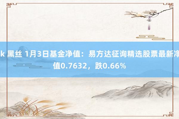 jk 黑丝 1月3日基金净值：易方达征询精选股票最新净值0.7632，跌0.66%