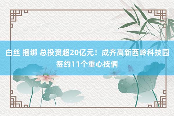 白丝 捆绑 总投资超20亿元！成齐高新西岭科技园签约11个重心技俩