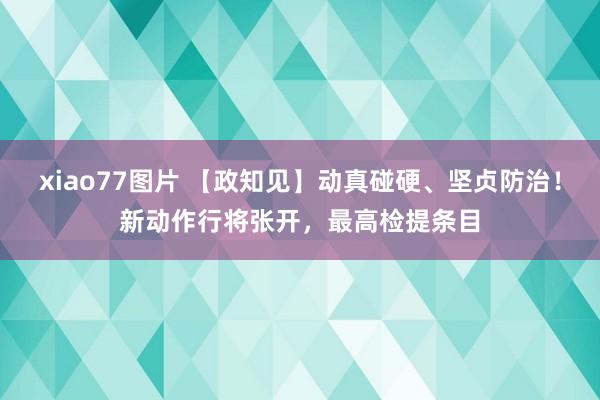 xiao77图片 【政知见】动真碰硬、坚贞防治！新动作行将张开，最高检提条目