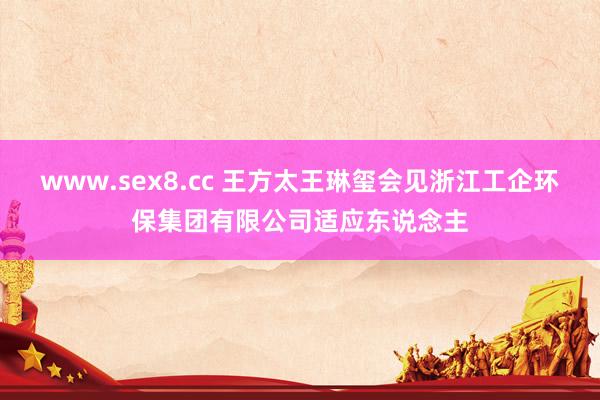 www.sex8.cc 王方太王琳玺会见浙江工企环保集团有限公司适应东说念主