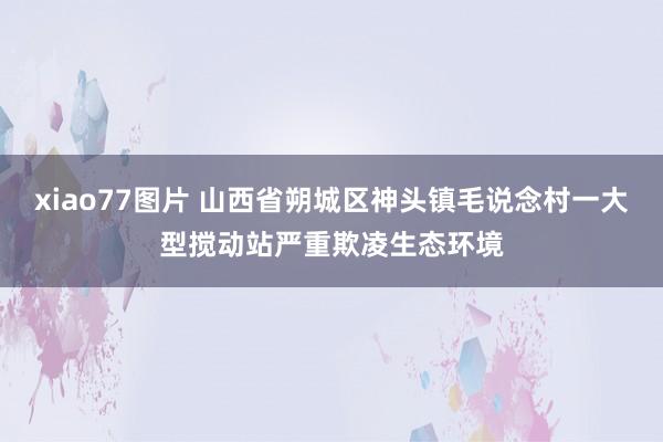 xiao77图片 山西省朔城区神头镇毛说念村一大型搅动站严重欺凌生态环境