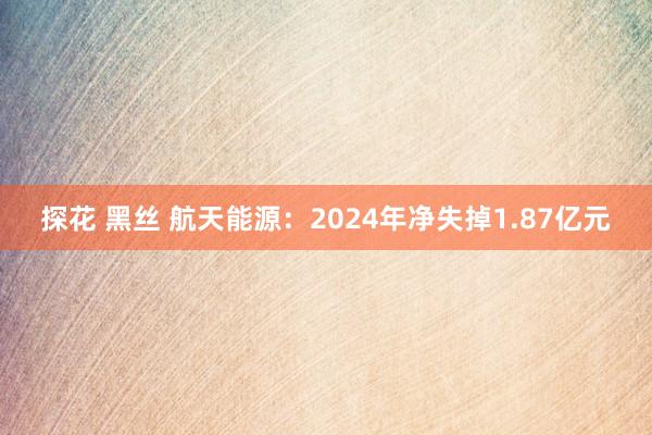 探花 黑丝 航天能源：2024年净失掉1.87亿元