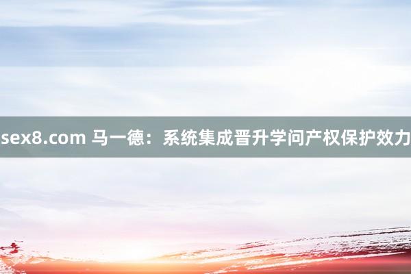 sex8.com 马一德：系统集成晋升学问产权保护效力