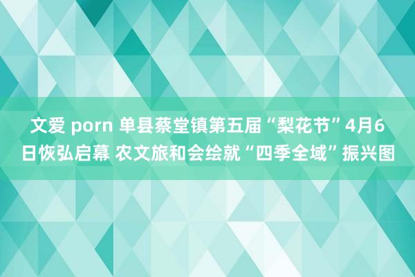 文爱 porn 单县蔡堂镇第五届“梨花节”4月6日恢弘启幕 农文旅和会绘就“四季全域”振兴图